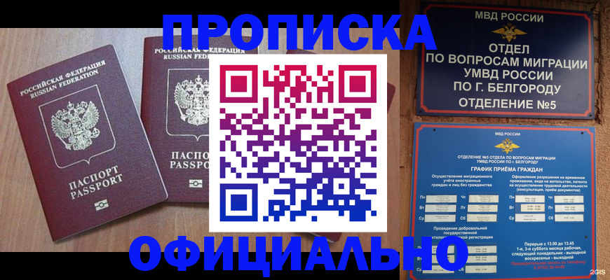 найти адрес прописки в Алейске